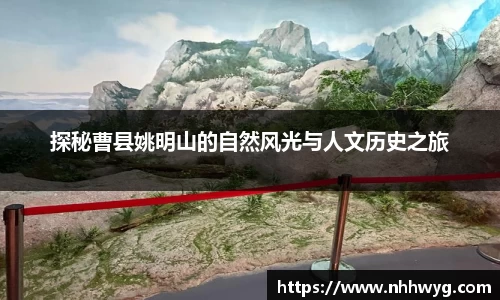星空体育综合官网