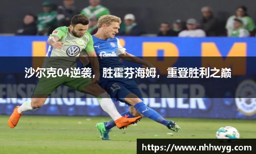 星空体育综合官网